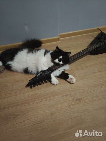 Обучение с нуля