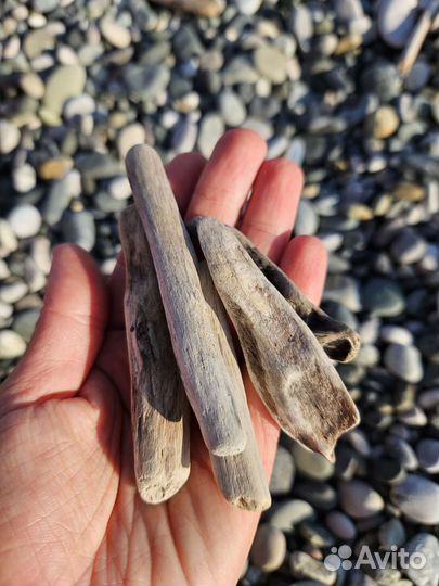 Дрифтвуд/ палочки для творчества