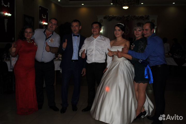 Ведущий Поющий Баянист Музыкант