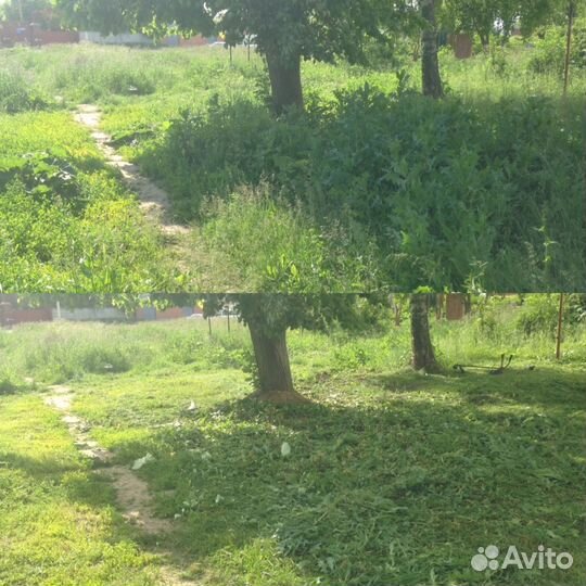 Покос травы