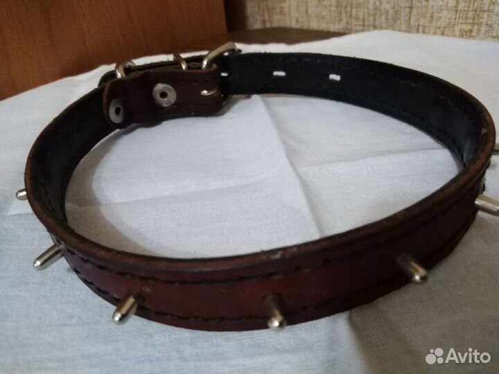 Ошейник для маленькой собаки