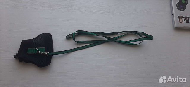 Поводок и шлейка для котёнка