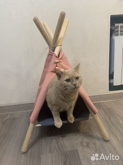 Домик лежанка для кота