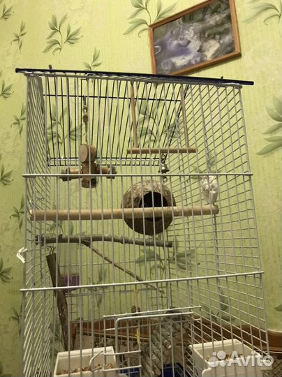 Клетка для птиц