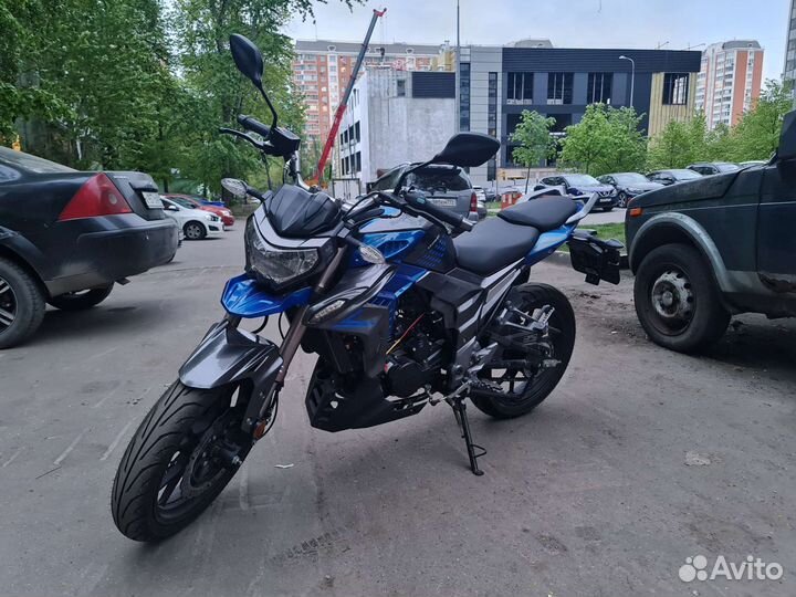 Regulmoto T-Leopard 300