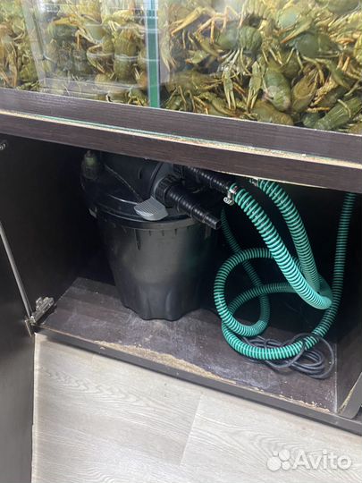 Аквариум под раков