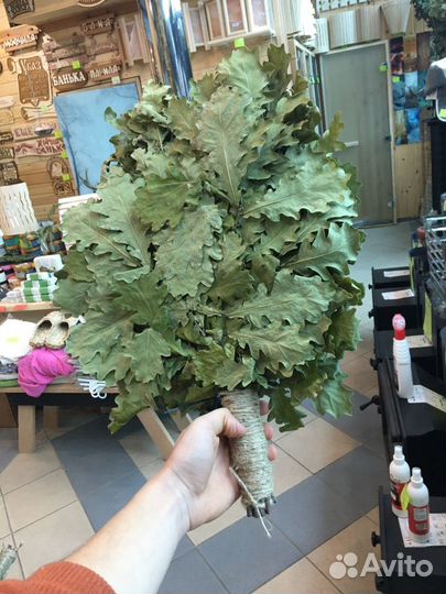 Дубовые-березовые-пихтовые веники отличного качест