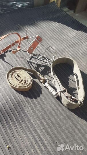 Ошейник для крупной собаки