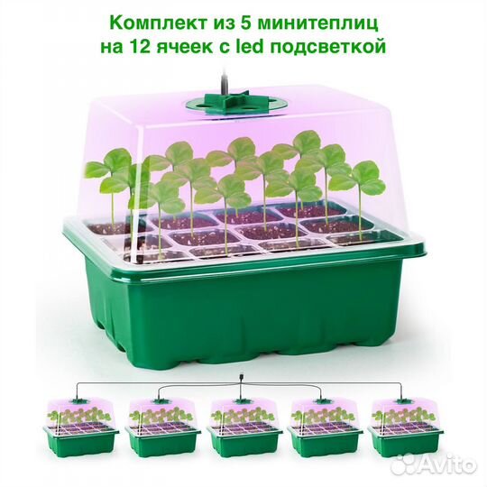 Мини парник с подсветкой домашний