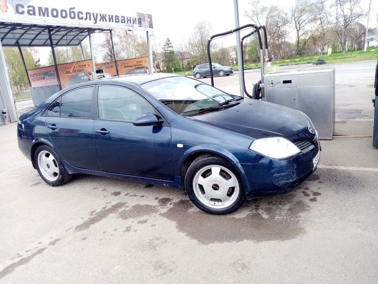 Nissan Primera: фото владельца
