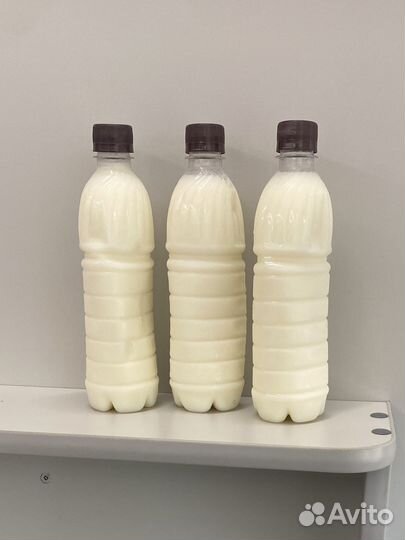 Барсучий жир от охотника