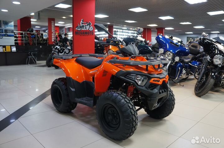 Loncin Xwolf 200, 2024