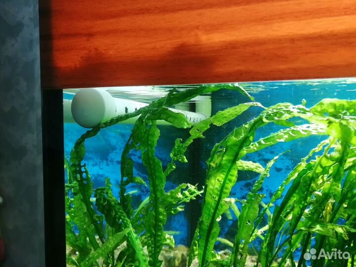 Аквариум 500 литров