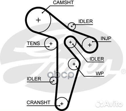 Ремень грм 5649XS Gates