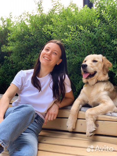 Передержка собак /догситтер