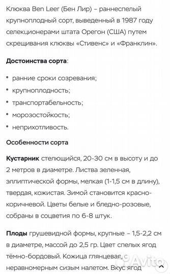 Саженцы клюквы