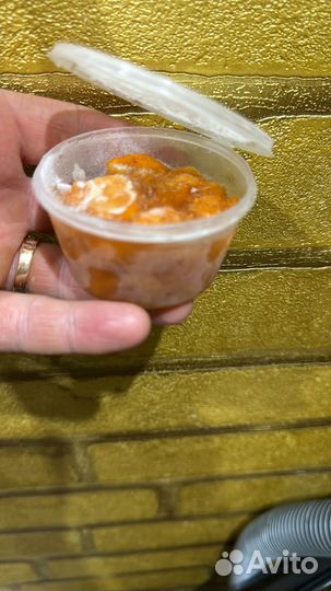 Гребешок на одной створке )