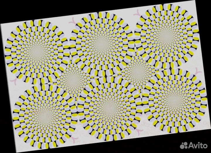 Фасовщик на склад выплаты еженедельно /Дружный кол