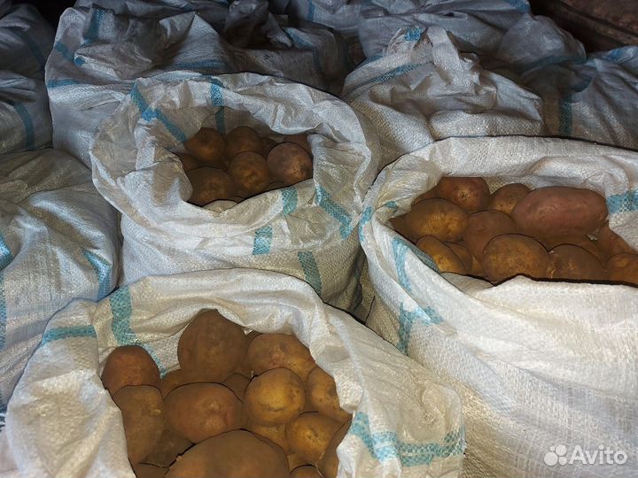 Картофель деревенский