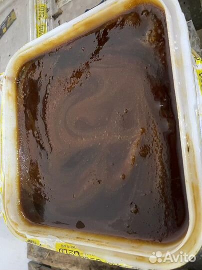 Таежный мед оптом