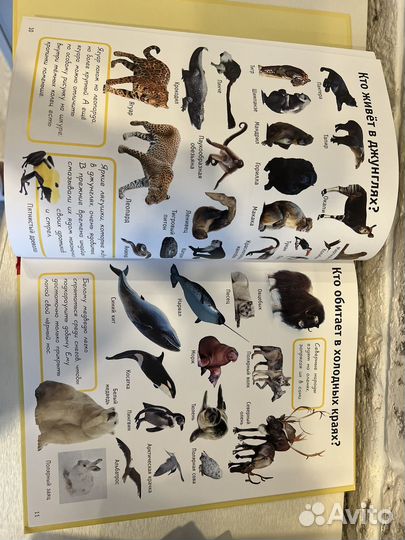 Книги для детей