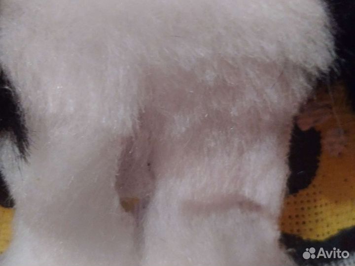 Фурсьют лисы