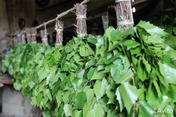 Банные веники