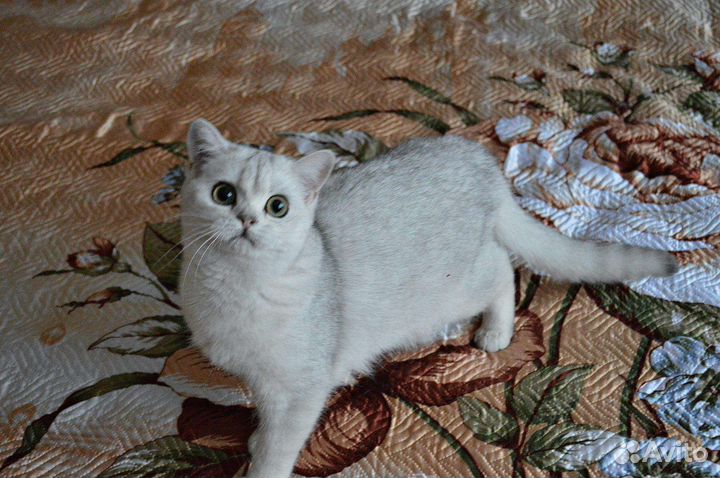 Таня