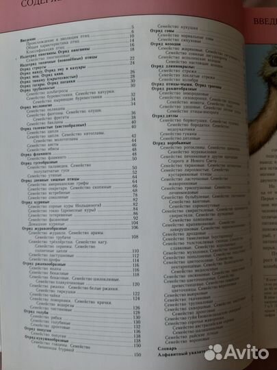 Птицы. Полная энциклопедия