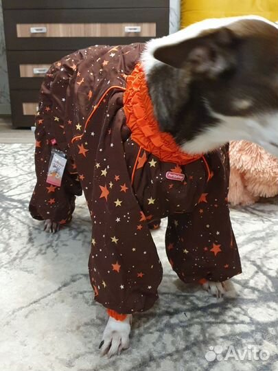 Комбинезон зимний для собаки