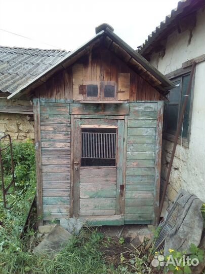 Голубятник