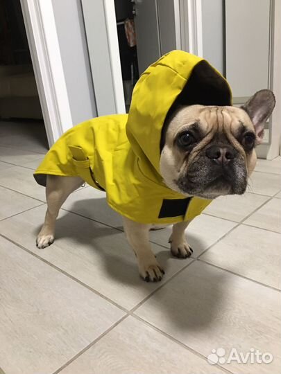 Дождевик для собаки
