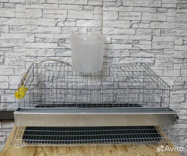 Клетка для перепелов