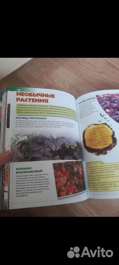 Детская энциклопедия