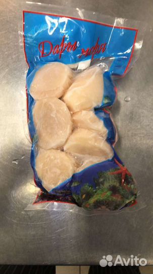 Морской гребешок. Сахалин