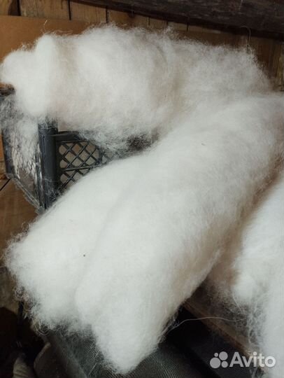 Собачья шерсть