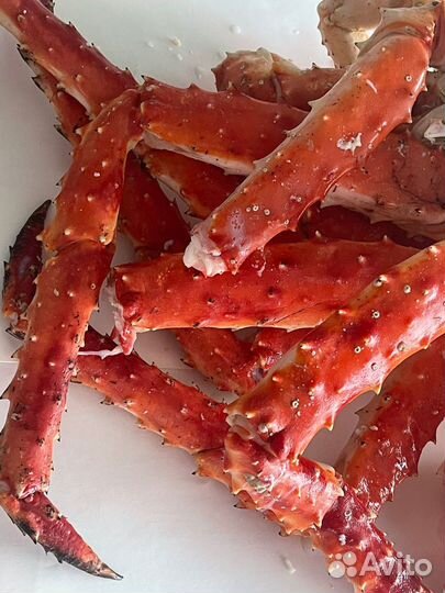 Продам Камчатский краб фаланга размер S,M