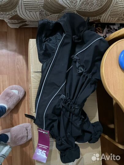 Одежда для собак