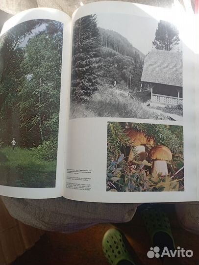 Книга лесопарки СССР