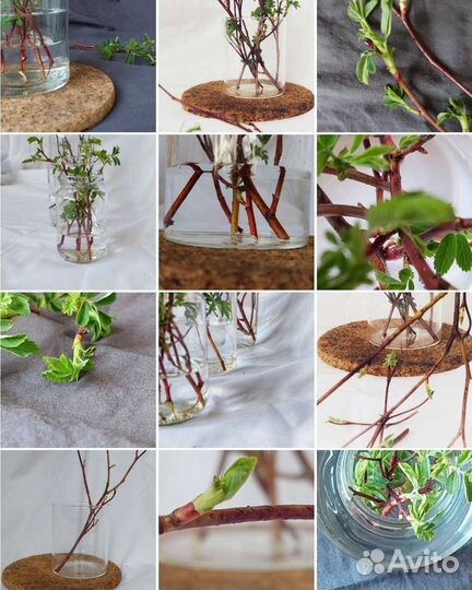 Предметная съемка. Фотограф. Визуализатор