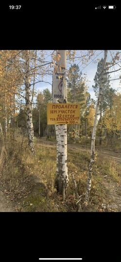 Участок 12 сот. (ИЖС)