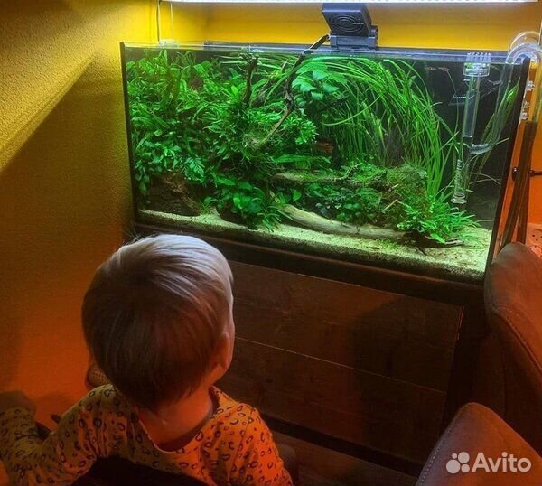 Обслуживание аквариума