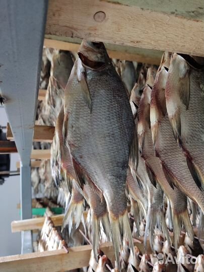 Астраханская вобла вяленая