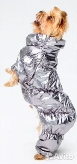 Комбинезон для собак мелких пород
