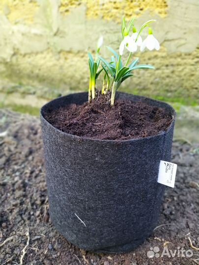 Горшок для цветов 5л