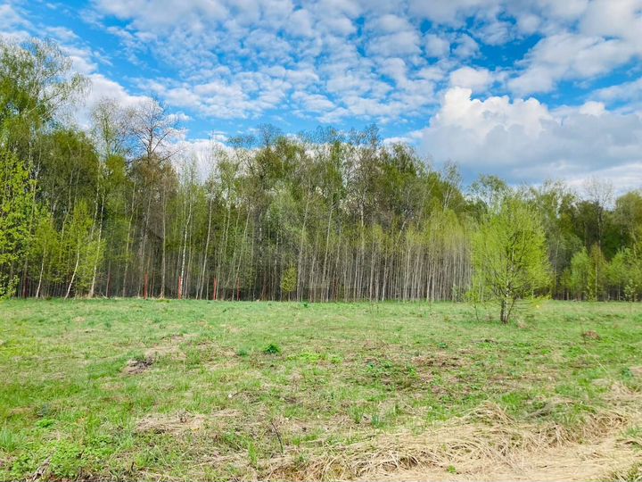 Участок 12 сот. (СНТ, ДНП)