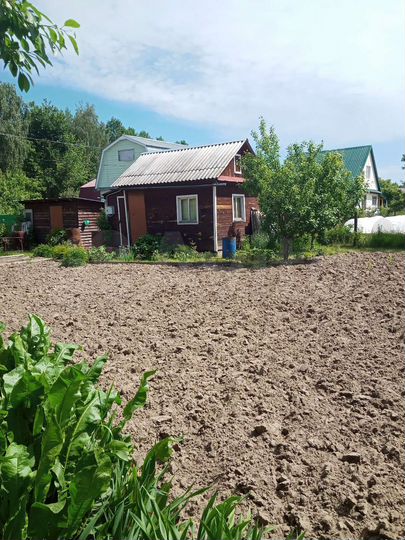 Участок 4,8 сот. (СНТ, ДНП)