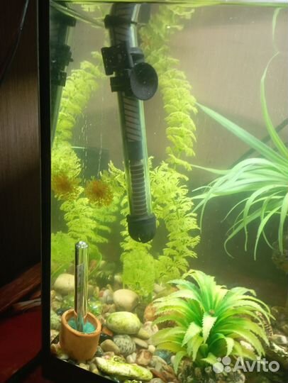 Продаётся Аквариум 20 л.со всеми принадлежностями