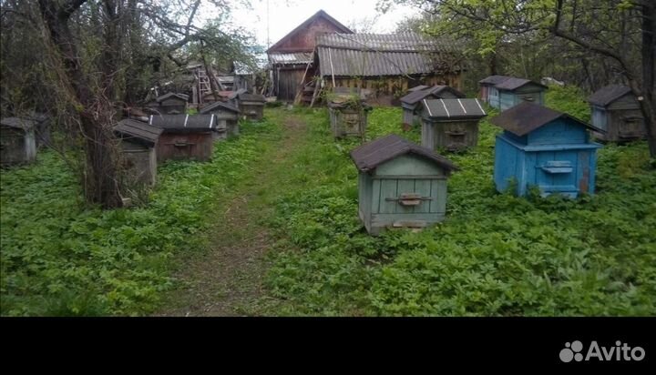 Улей для пчел бу