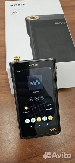 Sony nw wm1am2